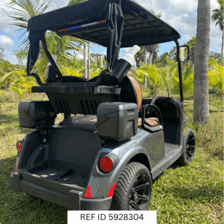 2026 E-Z-GO RXV2 Elite golf cart in Platinum at Sunshine Golf Car