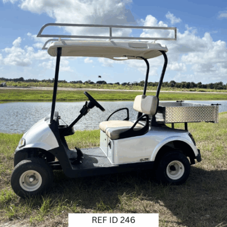 2021 E-Z-GO RXV Elite golf cart with cargo box and ladder rack for utility use