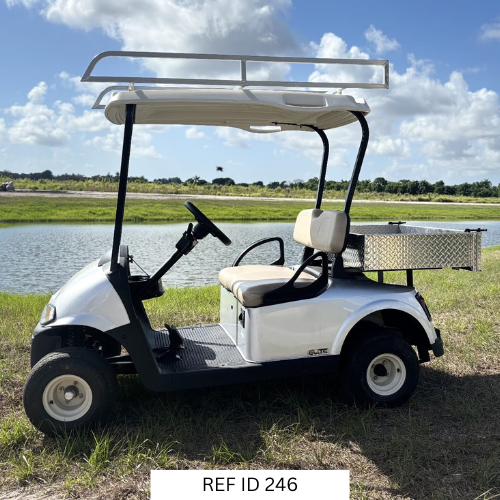 2021 E-Z-GO RXV Elite golf cart with cargo box and ladder rack for utility use