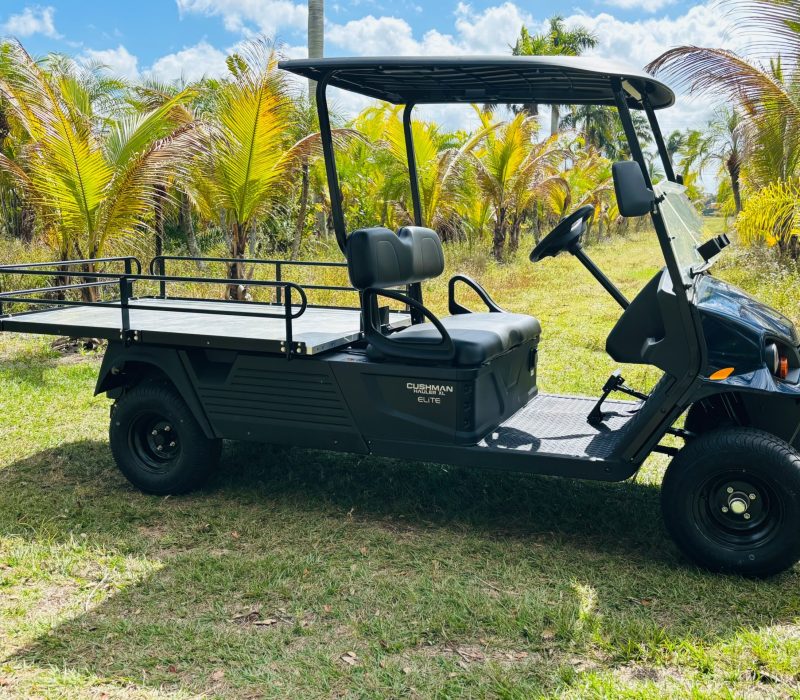 5e745af3-95f8-4b81-b217-6e1bdb099be4