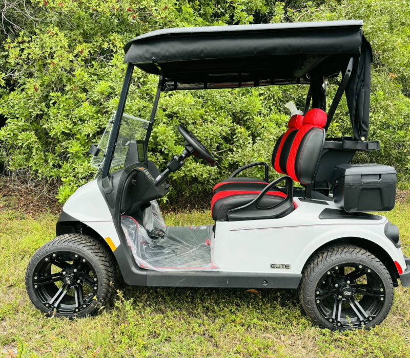 PHOTO-2026-02-01-11-58-19 2