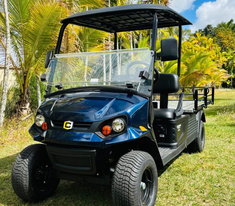 e3f3bb7a-9796-4cd5-859f-6be5918a83ef